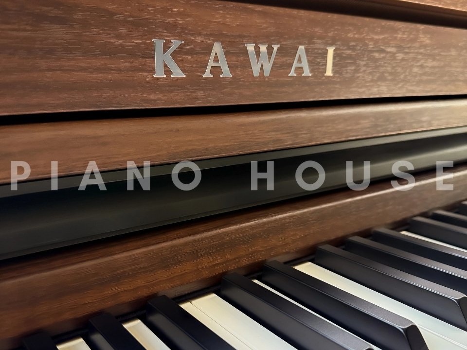 Hình ảnh chi tiết KAWAI CA401 MOCHA WALNUT góc chụp 7